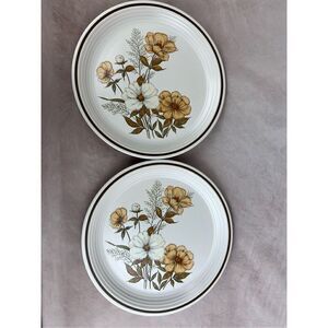 Vintage Town and Country Mill Run Dinner Plates Stone Wear